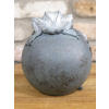 Frogs On Ball