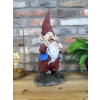 Gnome