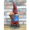 Gnome