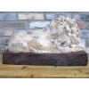Sleeping Lion
