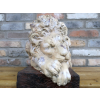 Sleeping Lion