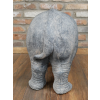 Rhino