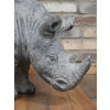 Rhino