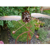 Owl Stake