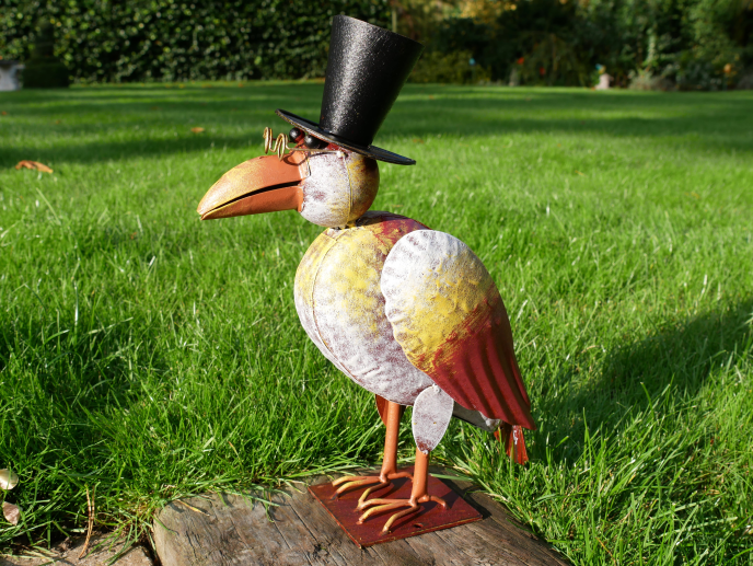 Bird In Top Hat
