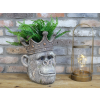 Monkey Head Planter