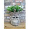 Monkey Head Planter