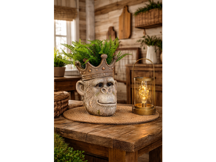Monkey Head Planter
