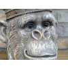 Monkey Head Planter