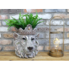 Lion Head Planter