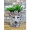 Lion Head Planter