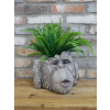 Monkey Head Planter