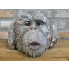 Monkey Head Planter