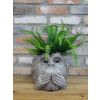 Monkey Head Planter