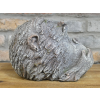 Monkey Head Planter