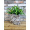 Monkey Head Planter