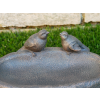 Bird Feeder