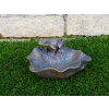 Frog On Leaf Feeder