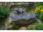 Frog On Leaf Feeder