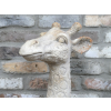 Giraffe Head (Large)