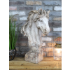 Horse Head