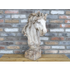 Horse Head