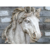 Horse Head