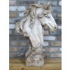 Horse Head