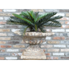 Urn