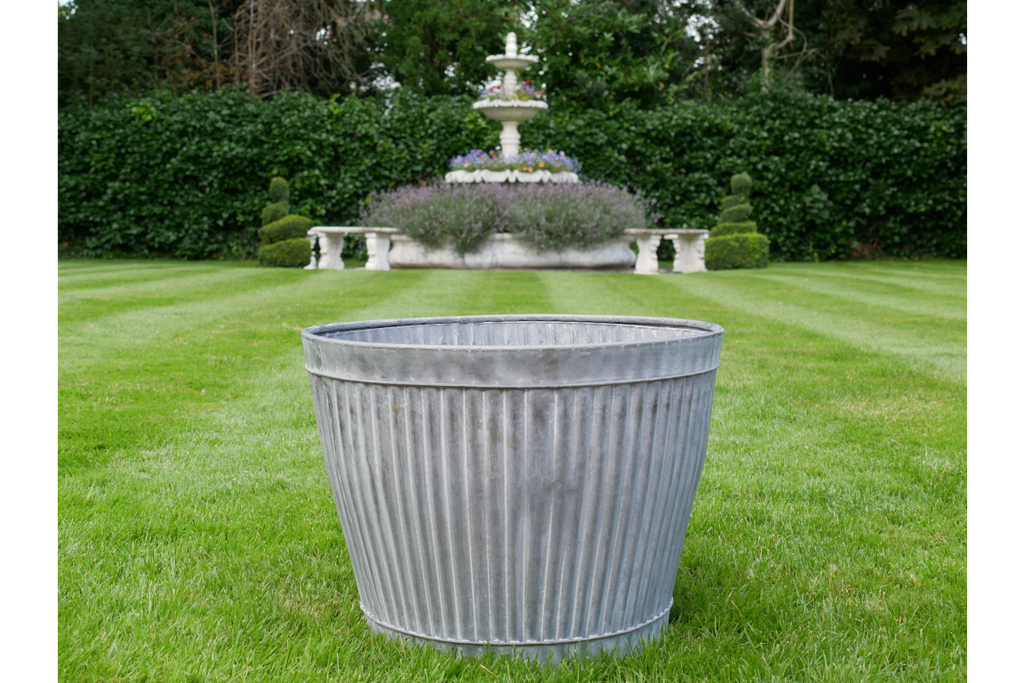 Planter-2