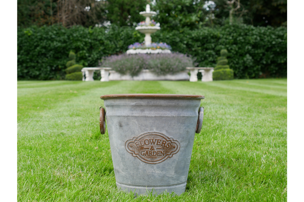 Planter-4