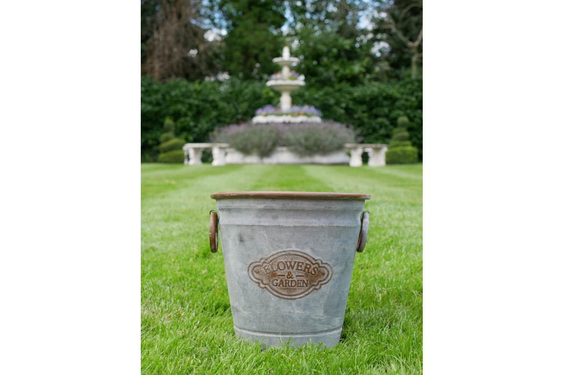 Planter-4