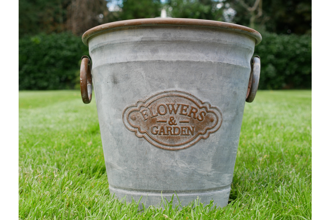 Planter-4