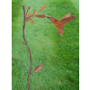 Rusty Bird Stake