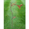 Rusty Bird Stake