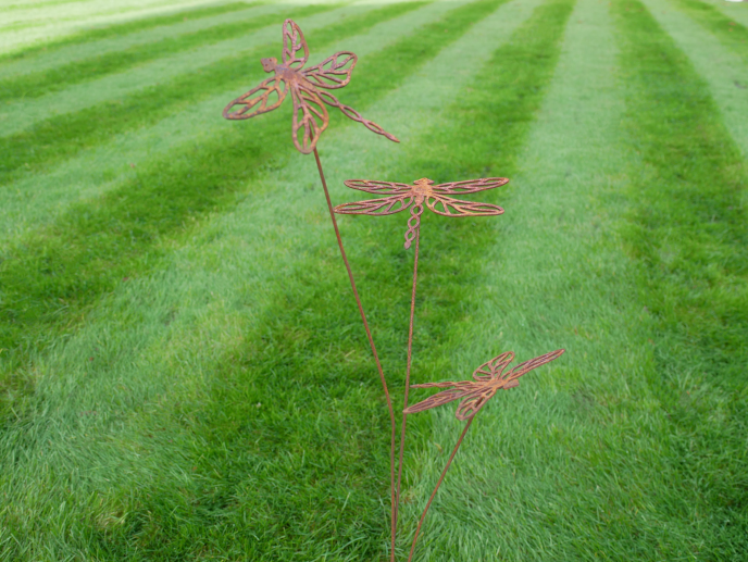Rusty Dragonflies Stake