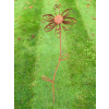 Rusty Flower Stake