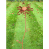 Rusty Flower Stake