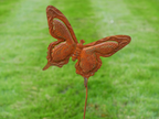 Rusty Butterfly Stake