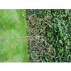 Rusty Butterfly Stake