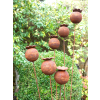 Rusty Flowers Stake
