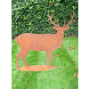 Rusty Stag