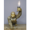 Gorilla Light