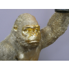 Gorilla Light