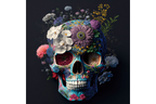 Skull Wall Art