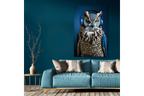 Owl Wall Art