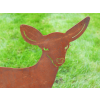 Small Rusty Deer