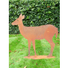 Rusty Deer
