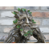 Treeman Birdfeeder
