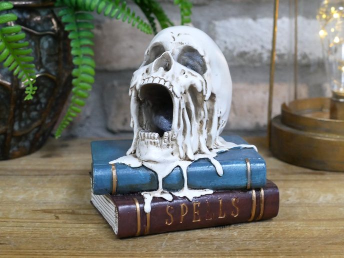 Skull on Books Decoration